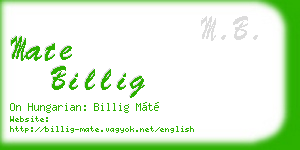 mate billig business card