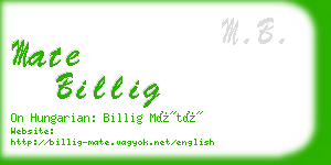 mate billig business card